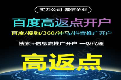 揭秘SEM竞价托管：实战案例深度解析